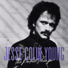 The Perfect Stranger - Jesse Colin Young