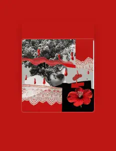 收听 GUIDED WALK、观看音乐视频、阅读小传、查看巡演日期等 ！