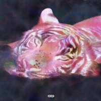 peta - Single - 6ixxtyfeen