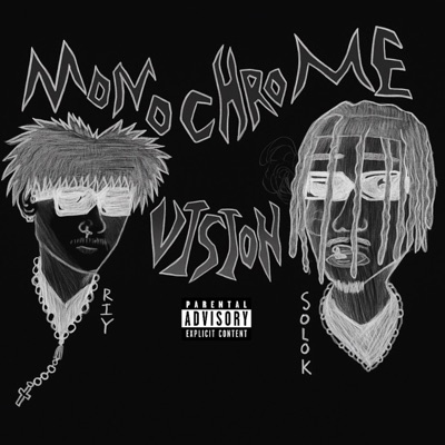 MONOCHROME VISION (feat. SOLOK)