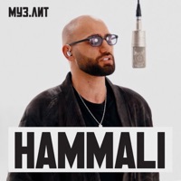 Путь к себе (МУЗ.ЛИТ) - Single - HAMMALI