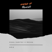 Aria (Extended Mix) song art