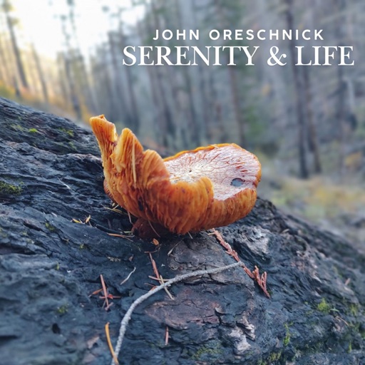 Album artwork
