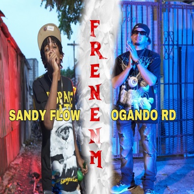 Frenenme (feat. Sandy Flow) - Single