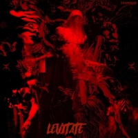 LEVITATE - Single - EsSimou