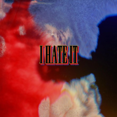 I HATE IT - Single