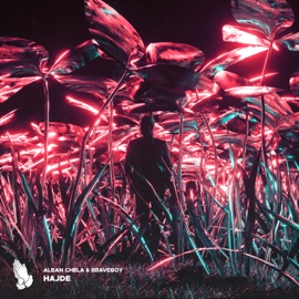 HAJDE Alban Chela & Braveboy