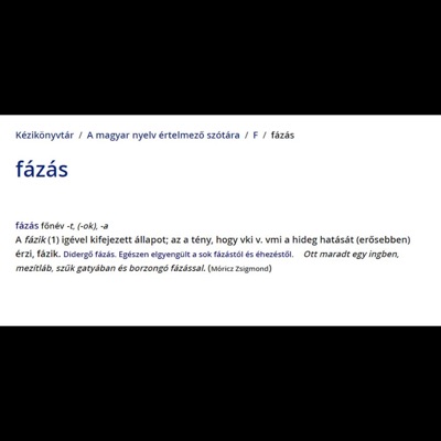 fázom (feat. ismeretlen & G3jzíR) - Single