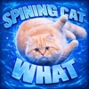 DJ EZMONEY - spining cat what