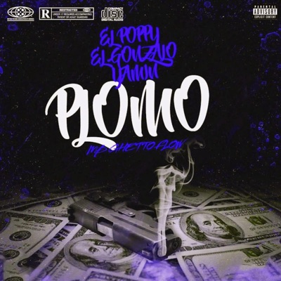 Plomo (feat. Yamir antiman & Gonzalo nawel) - Single