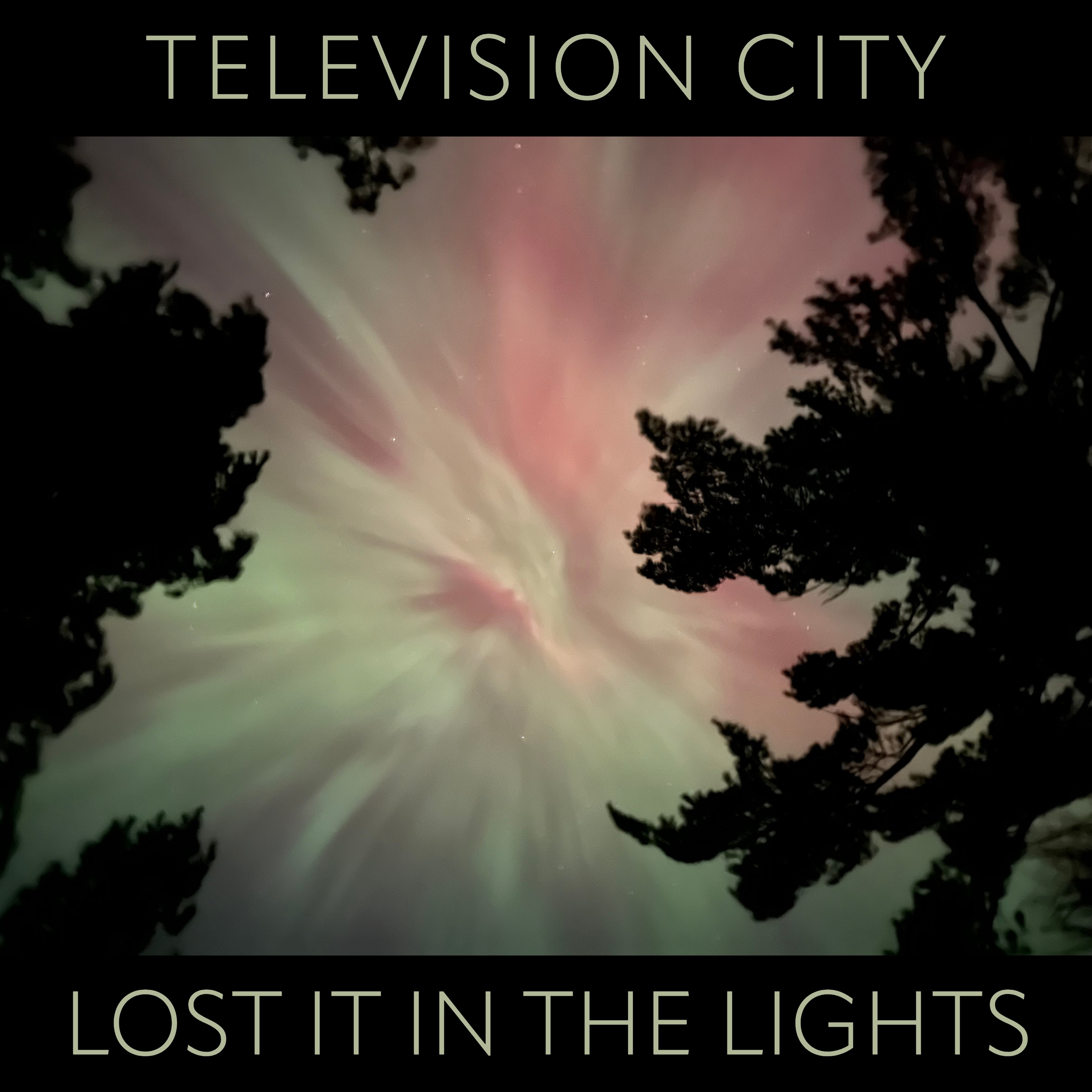 Lost It In The Lights - Single