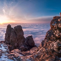 Twin Flames - The Flow