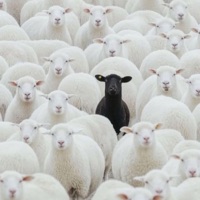 WHITE TEE  (feat. GunPlay) - Single - Lil Twinn