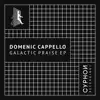 Domenic Cappello - Niamh's Song