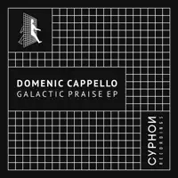 Niamh's Song — Domenic Cappello