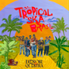 Tropical Ska Brasil - Desorquestra new Single