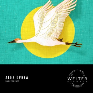 [WELTER261] - Single