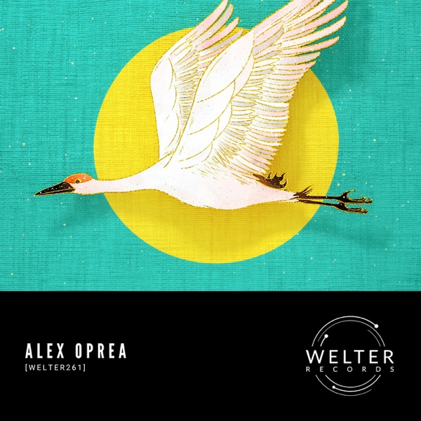 [WELTER261] - Single