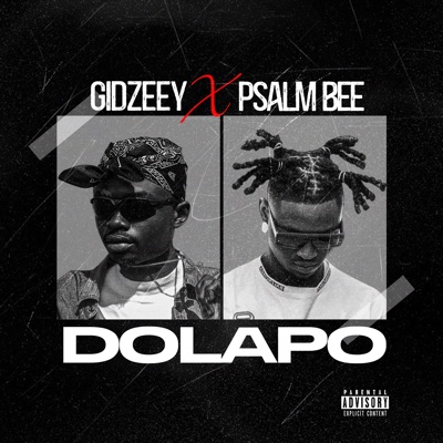 Dolapo (feat. Psalm Bee) - Single