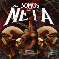 Somos los ñetas - Single - Brian Campos