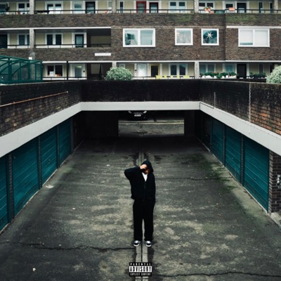 Young And Wild - Single