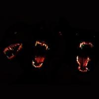 RUFF - Single - BURNER559k