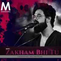 Zakham Bhi Tu - Single - Kaavir