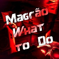 Magrão What to Do - Single - Dj lk da VB, MC MN, DJ Silvério & Diamante Negro