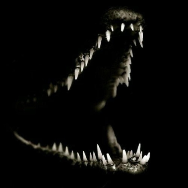 alligator tears