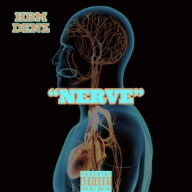 NERVE HBM Denz