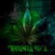 Cierren la Boca feat Kreiter Dip Slice Jordan Crowther Ziki Z Rojo Single