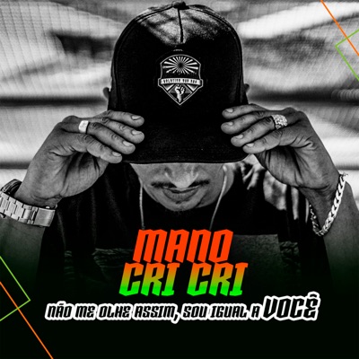 Não Me Olha Assim Sou Igual a Você - Single