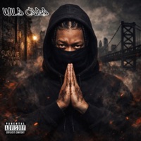 Wild Card - Single - Johnny Merk