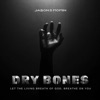 Dry Bones - Single