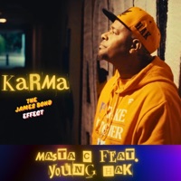 Karma (The James Bond Effect) - Single - Young Hak