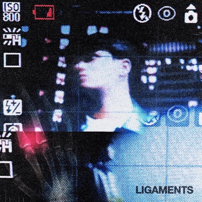 LIGAMENTS - Single