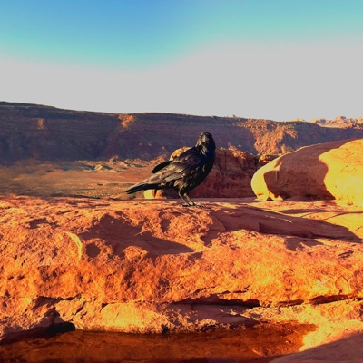 Samuel John & The Odd Sisters (Mile Zero)