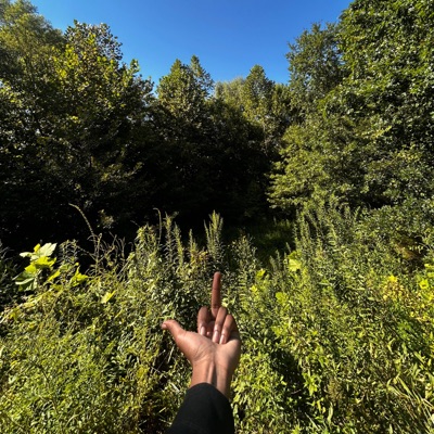 evening. - Single