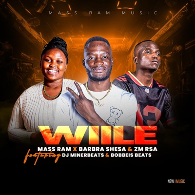 WIILE (feat. Barbra Shesa, ZM Rsa, Dj Miner Beats & Bobbeis Beat) - Single