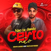 Não Tá Dando Certo Não (feat. Agito Da Pisada) - Single - Domys Guedes