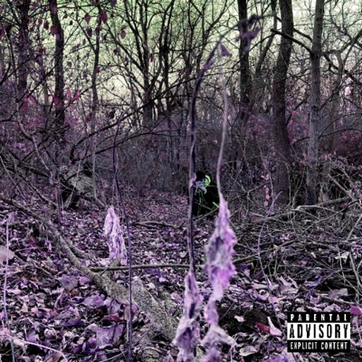 Something's Happening