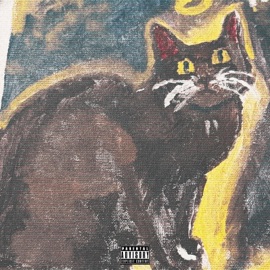 Pages (feat. PGB KING K) LilFiji69