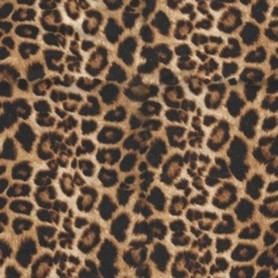 Cheetah print - Single