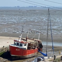 Go Home - Single - Zen_the_alien