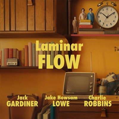 Laminar Flow - Single
