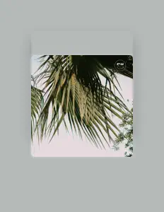 Poslechněte si interpreta LENNTO, sledujte hudební videa, přečtěte si životopis, podívejte se na data turné a další informace.