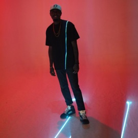 So Many Bitches (feat. Rich Bricks) MEL EZ