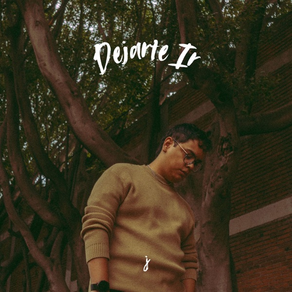 Dejarte Ir