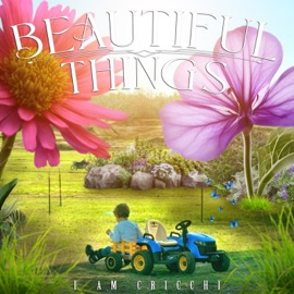 Dreams (Clean) I AM Cricchi