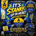IT'S STANKY UP IN HERE_SIDE B